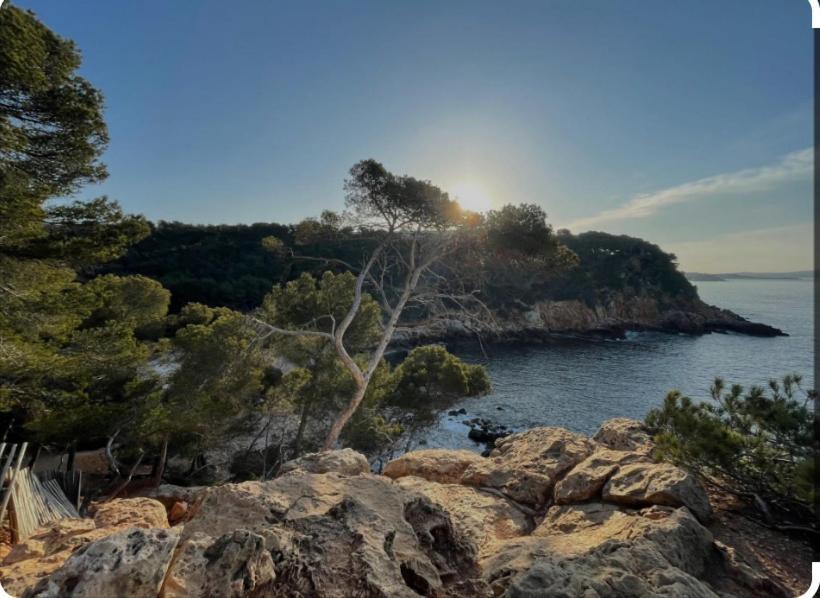« L'Observatoire » 6 Personnes Bandol Eksteriør billede